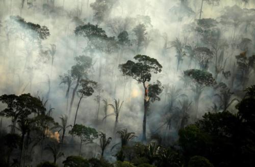 Pantanal Brand_Foto REUTERS Bruno Kelly